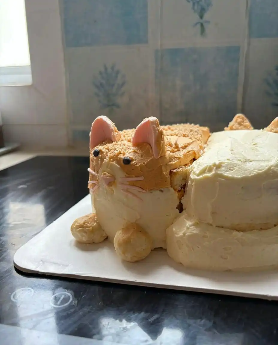 Ingredients for cat cake including dark cocoa powder and strong coffee