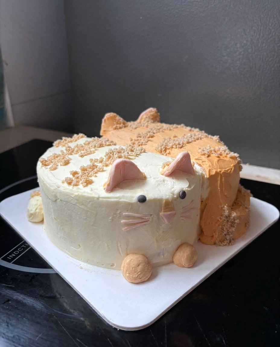 Cat Cake 14 A slice of chocolate cat cake showing the layers of frosting and ganache