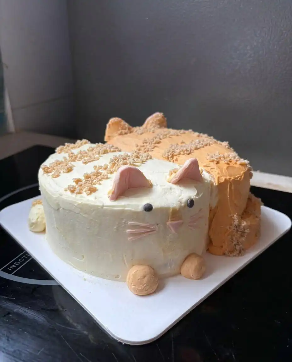 A slice of chocolate cat cake showing the layers of frosting and ganache