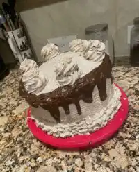 Two layers of soft Oreo sponge cake with cookies and cream frosting.