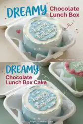 Homemade Chocolate Lunch Box Cake Recipe: The Perfect Bento Lunch Box Cake For Sweet Sharing