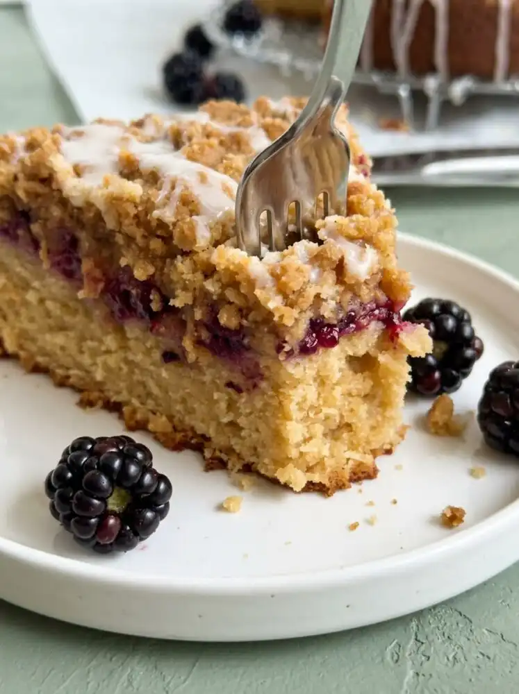Home - Cake Half - Small Batch Baking & Cupcakes 5 An elegant Blackberry Coffee Cake in a springform pan showing golden streusel and fresh fruit.